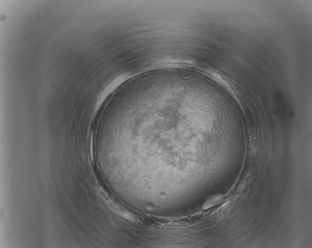 X0000068821227200605121307