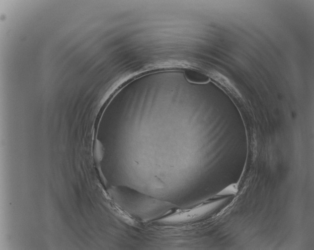 X0000068821228200605121307