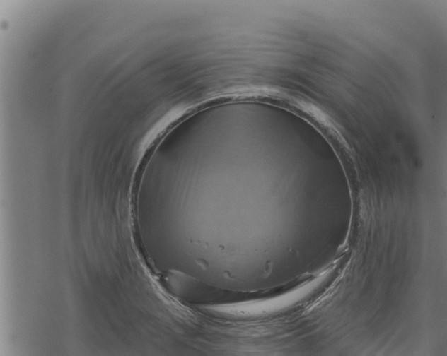 X0000068821229200605121307