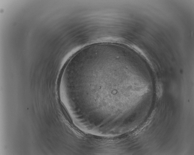 X0000068821230200605121307