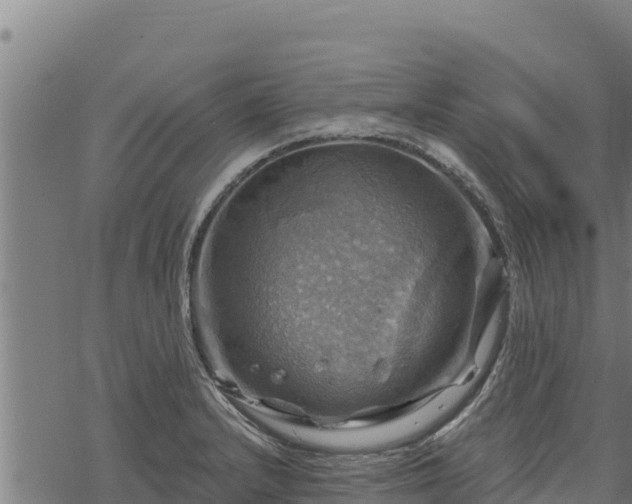 X0000068821232200605121307