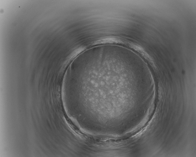 X0000068821233200605121307