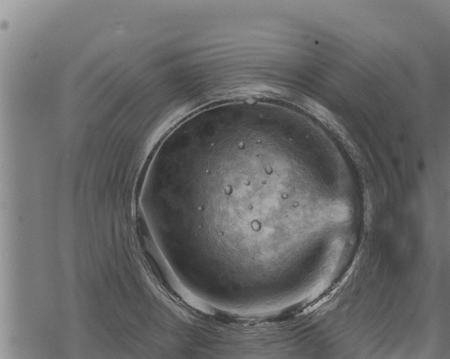 X0000068821234200605121307