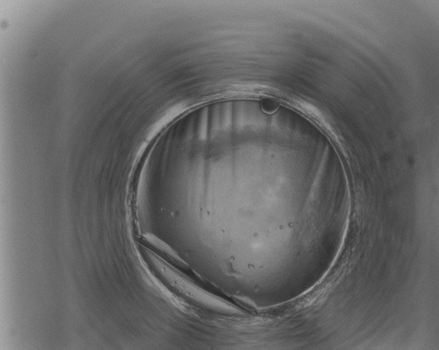 X0000068821235200605121307