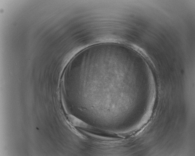 X0000068821236200605121307