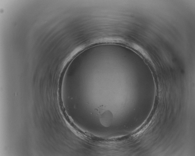 X0000068821237200605121307