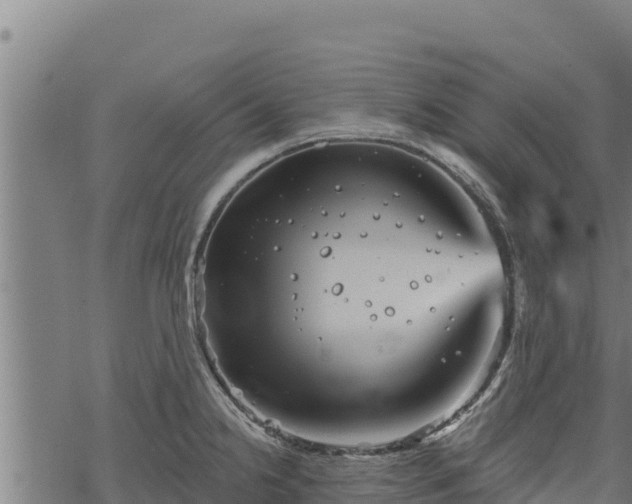 X0000068821238200605121308