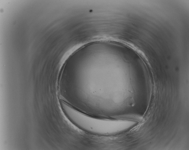 X0000068821239200605121308