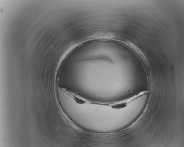 X0000068821240200605121308