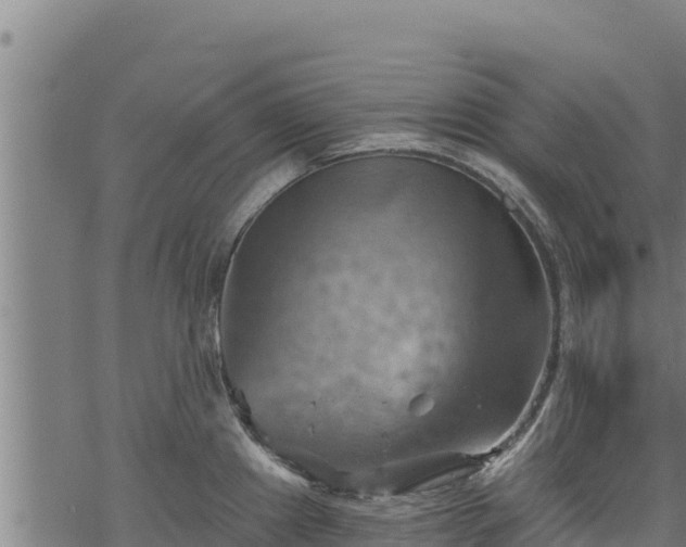 X0000068821241200605121308