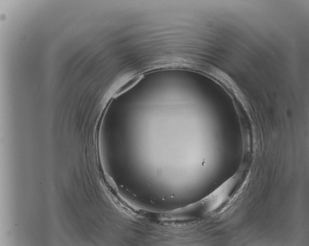 X0000068821242200605121308