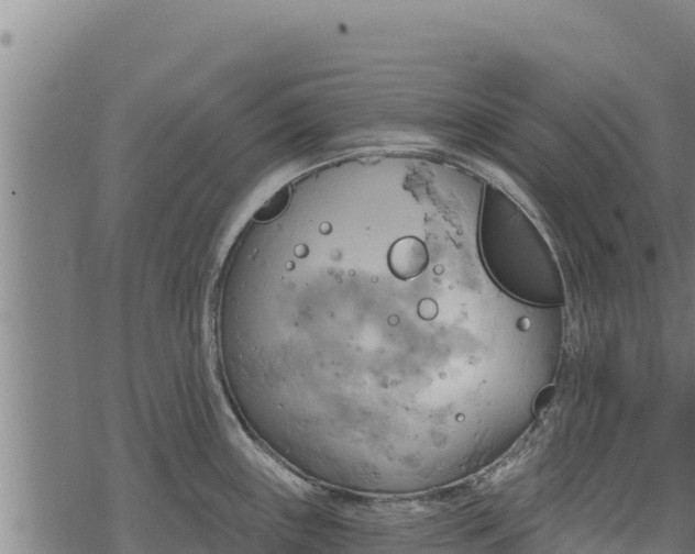 X0000068821243200605121308