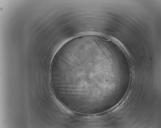 X0000068821244200605121308