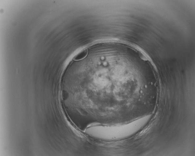 X0000068821245200605121308