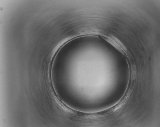 X0000068821246200605121308