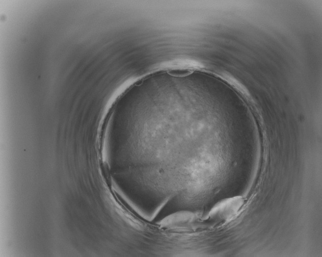 X0000068821248200605121308