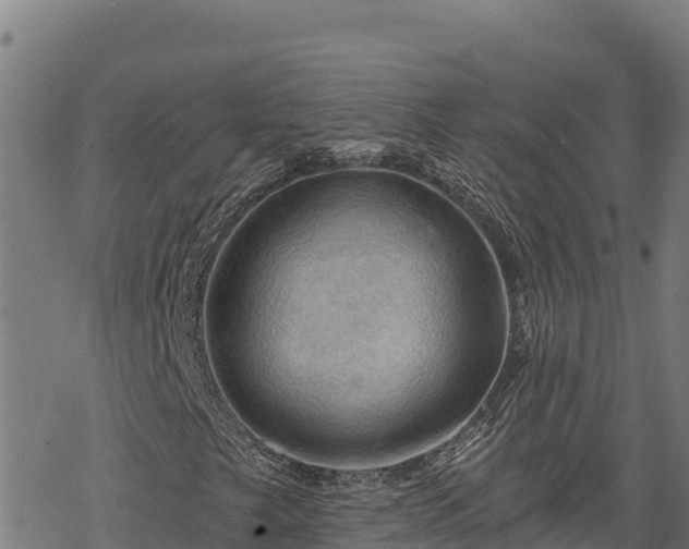 X0000068821249200605121307