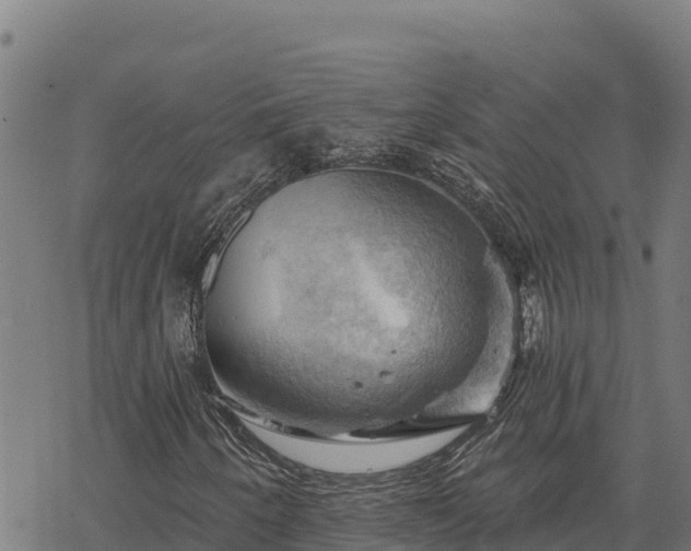 X0000068821250200605121307