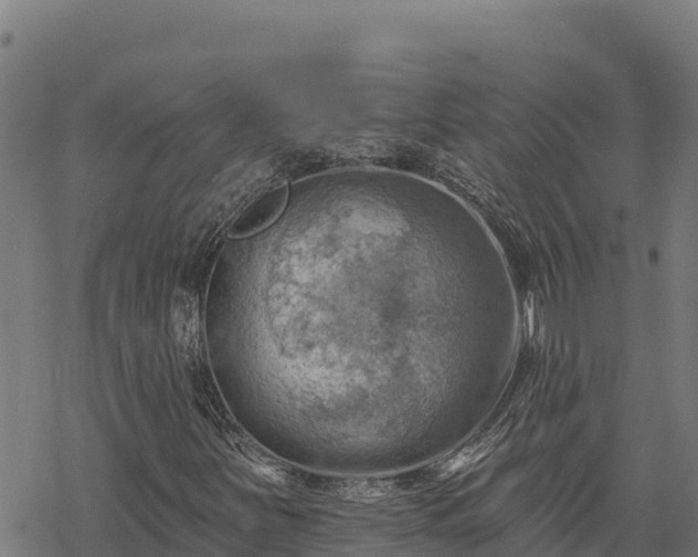 X0000068821251200605121307