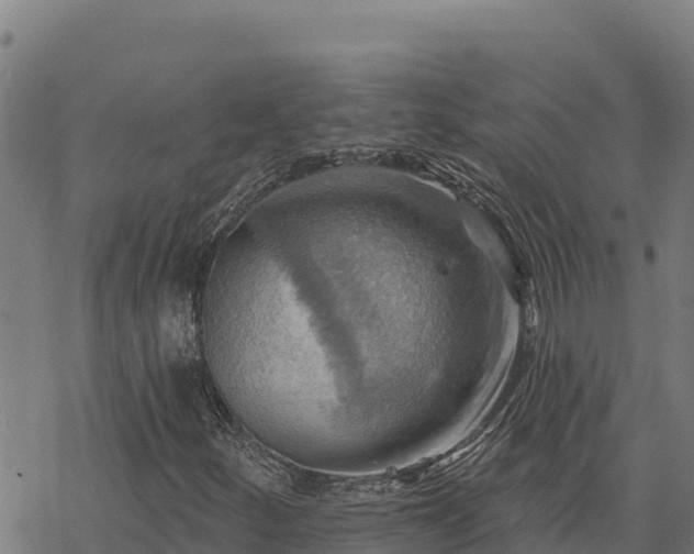 X0000068821252200605121307