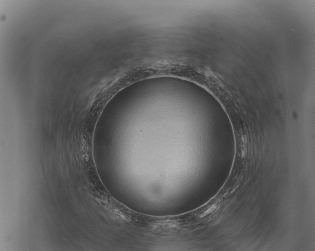 X0000068821253200605121307