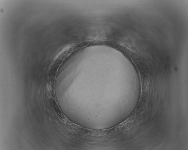 X0000068821254200605121307