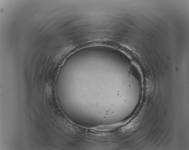 X0000068821257200605121307