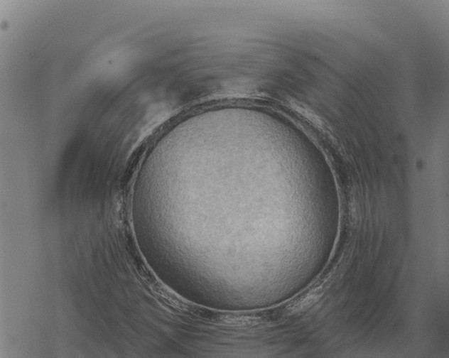 X0000068821258200605121307