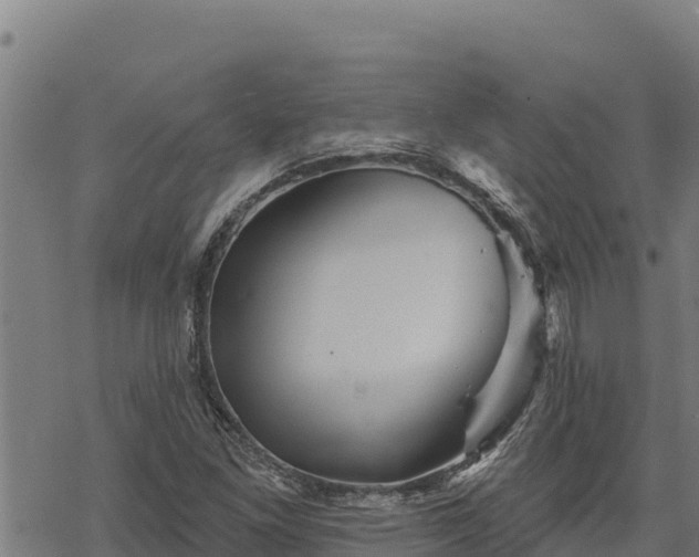 X0000068821261200605121307