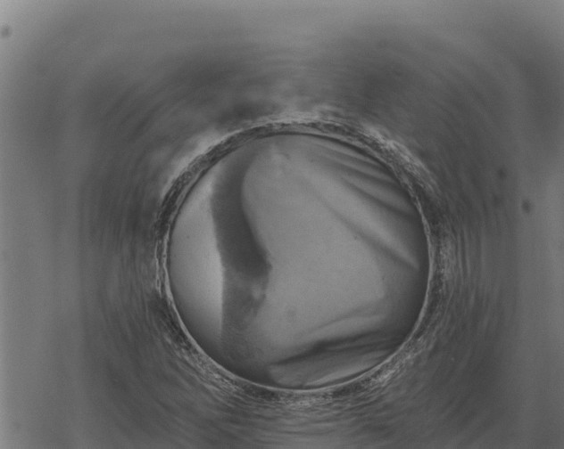 X0000068821262200605121307