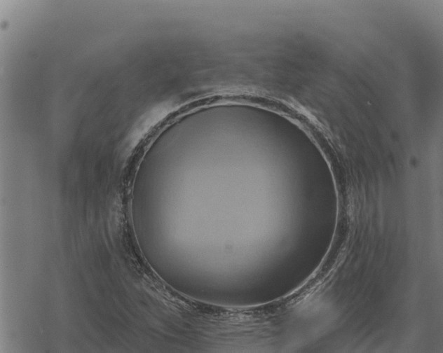 X0000068821263200605121307