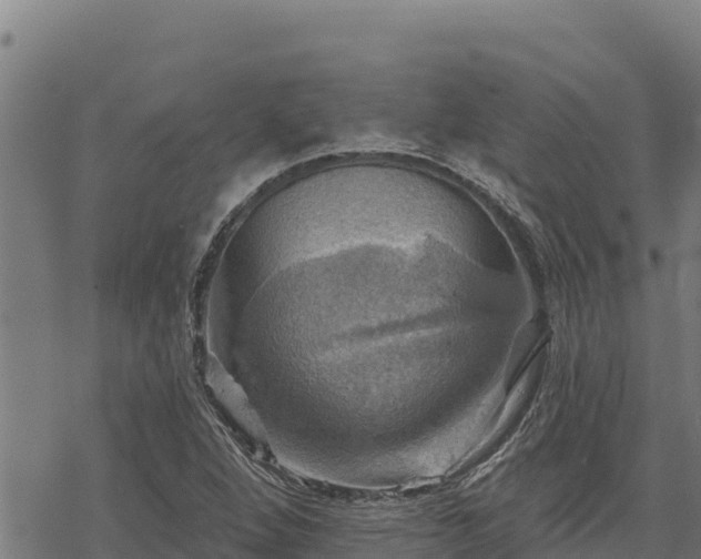 X0000068821264200605121307