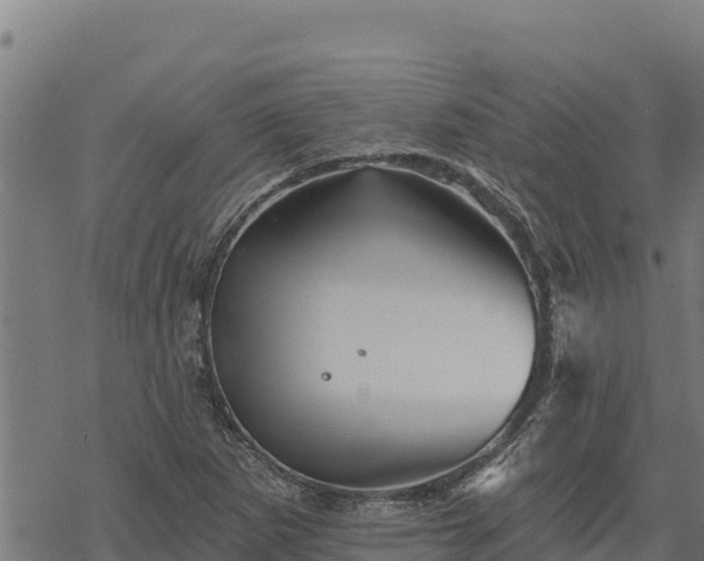 X0000068821265200605121307