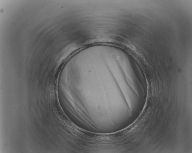 X0000068821266200605121307