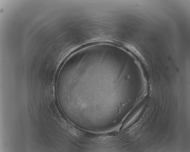 X0000068821268200605121307