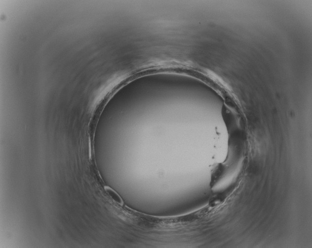 X0000068821269200605121307