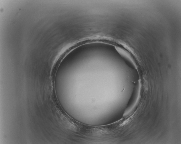 X0000068821270200605121307