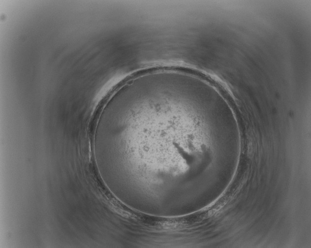 X0000068821271200605121306