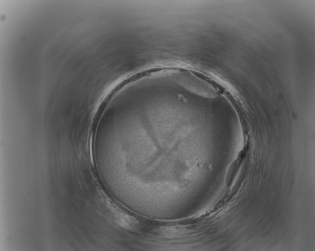 X0000068821272200605121306