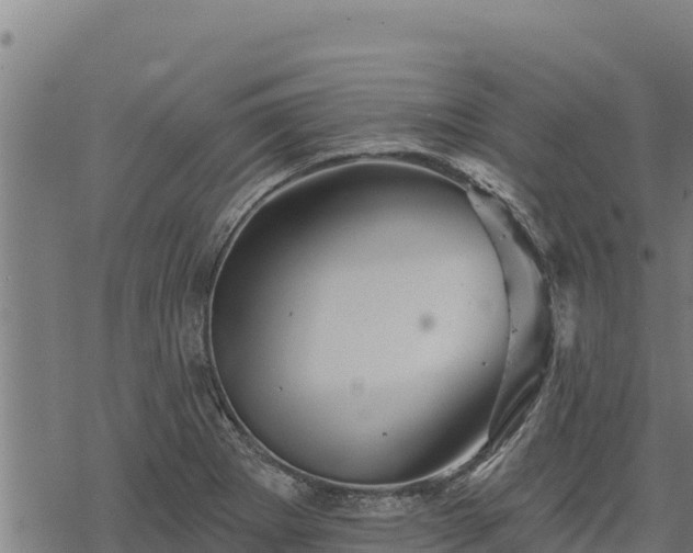 X0000068821273200605121306