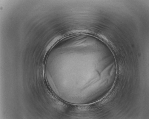 X0000068821274200605121306