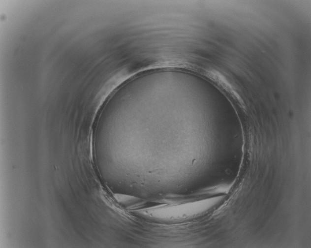 X0000068821276200605121306