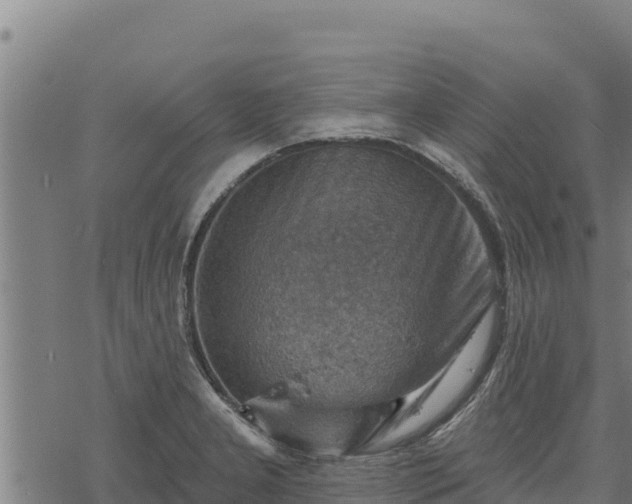 X0000068821277200605121306