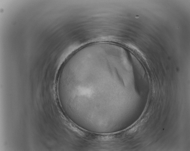 X0000068821278200605121306