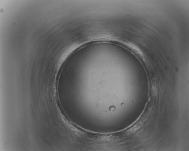 X0000068821279200605121306