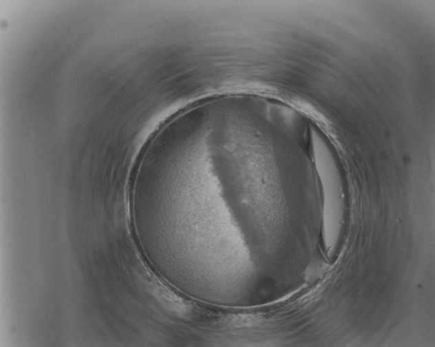 X0000068821280200605121306