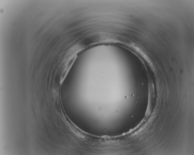 X0000068821281200605121306