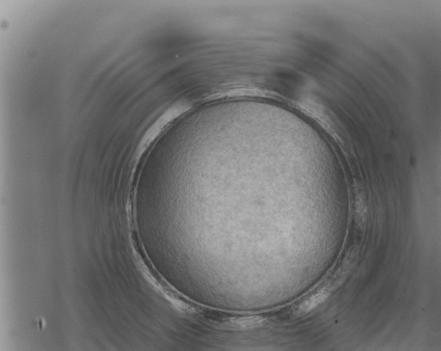 X0000068821282200605121306