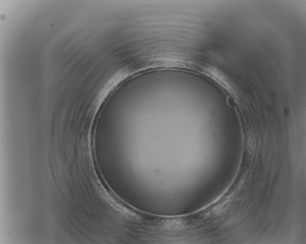 X0000068821283200605121306