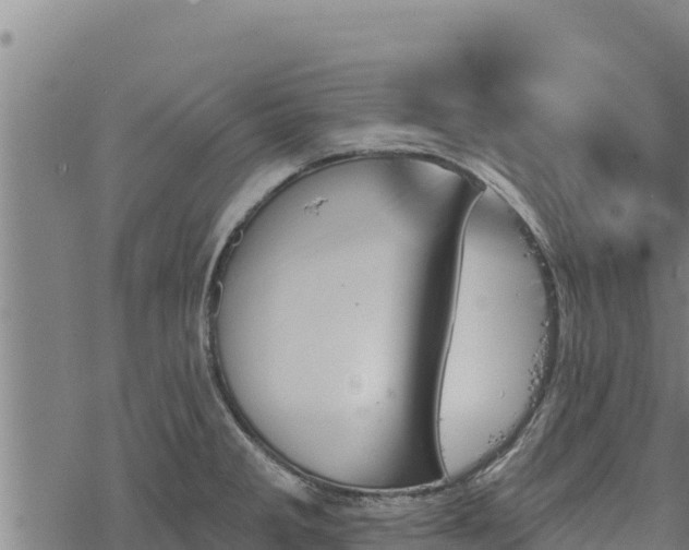 X0000068821285200605121306